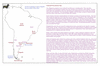 kin73 south america intro 2_thumb.gif